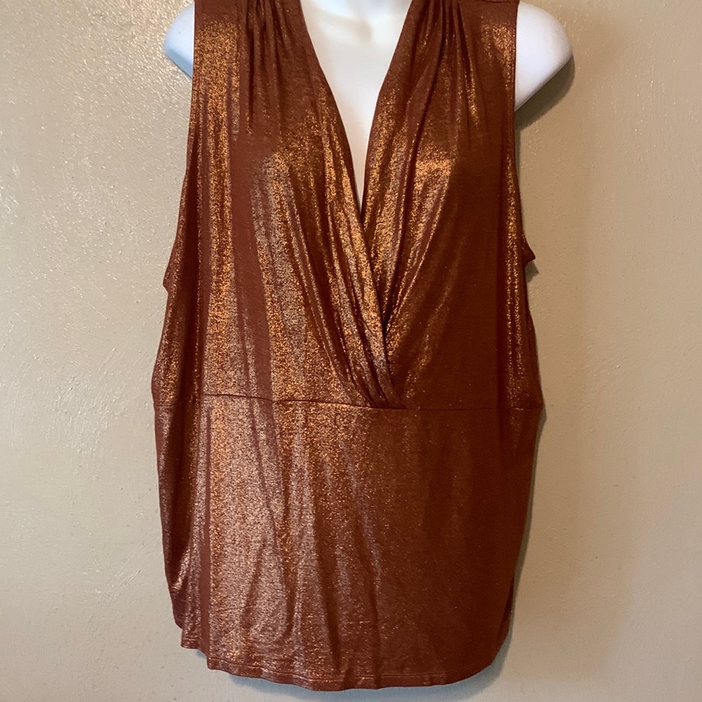 #6 Josephine Chaus 2X metallic top rust stretchy